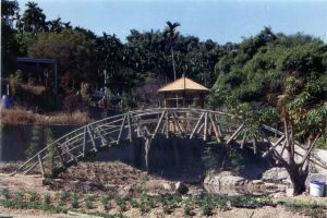 竹拱橋學員製作過程-完工後竹拱橋搭配景觀-15