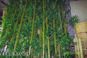 帶枝葉保青竹01