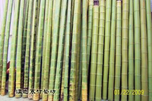 代客處理保青竹1