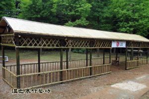 竹屋實體教學的成品