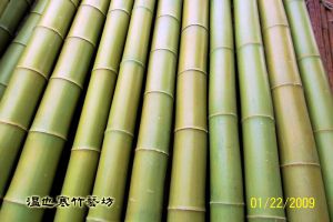 代客處理保青竹2