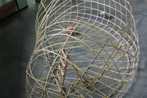 學生完成新一代設計展作品骨架